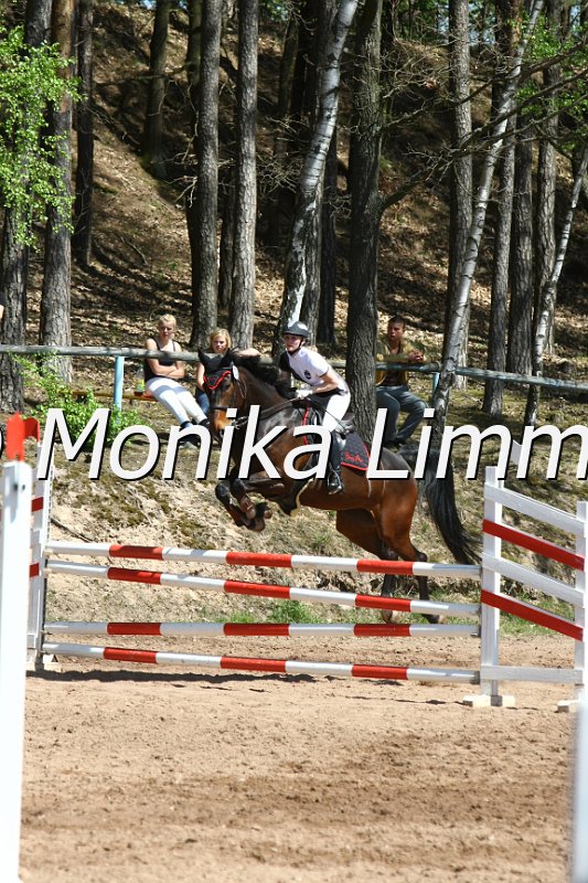 204M8535_Sissi T_Spring_Axx.JPG